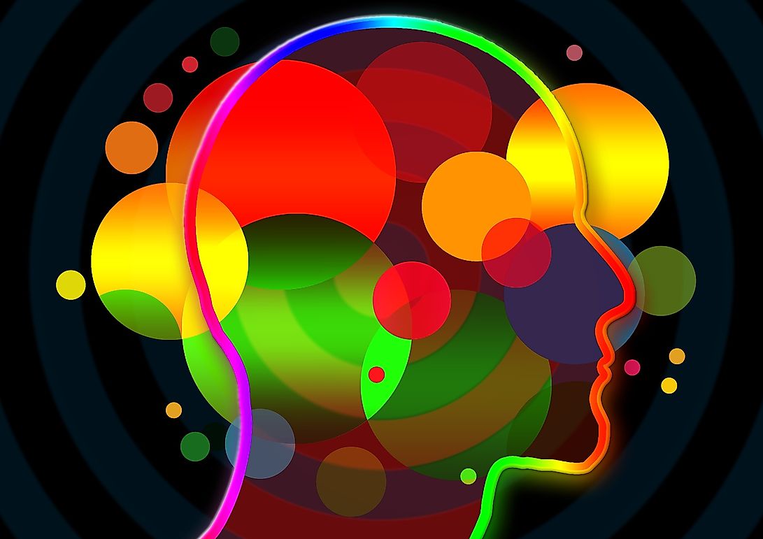 What Is A Fallacy?