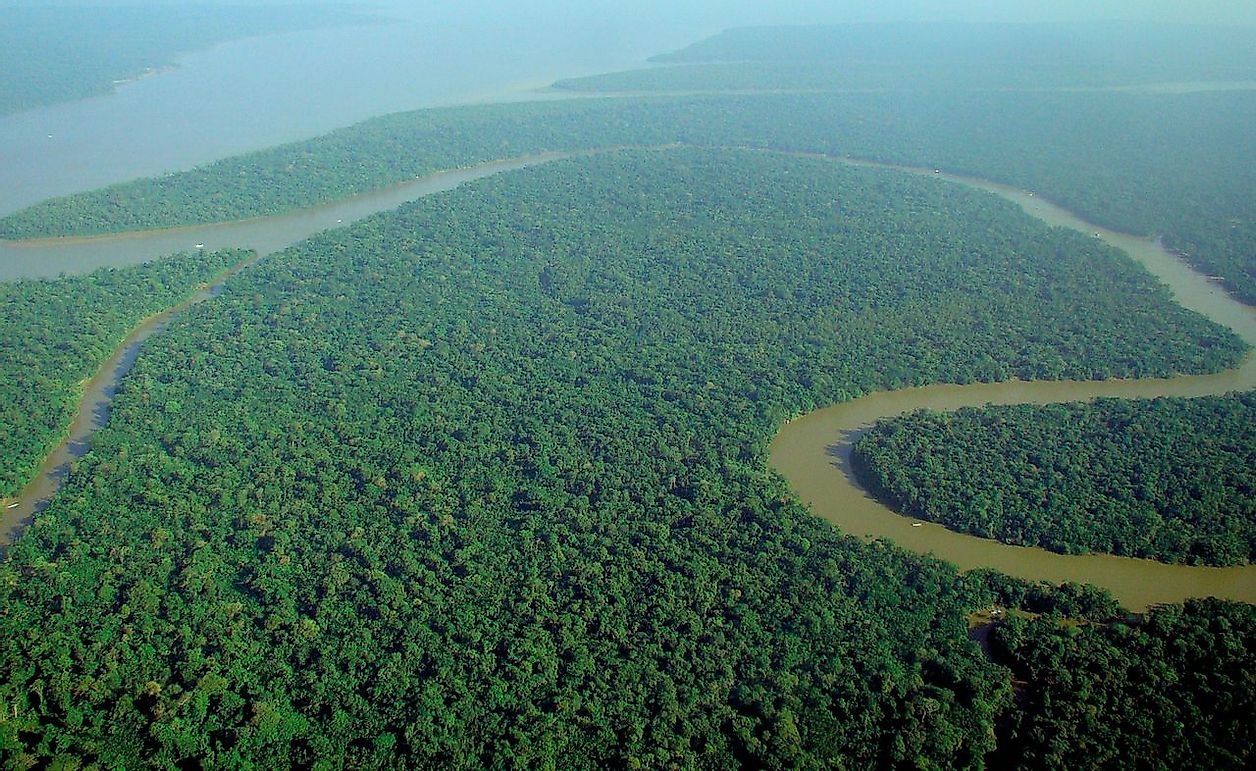 Countries Sharing The Amazon Rainforest - WorldAtlas.com
