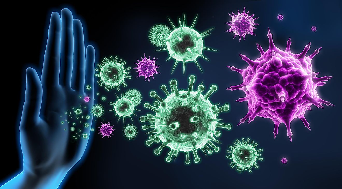 Why Does Immunity Decrease With Age?