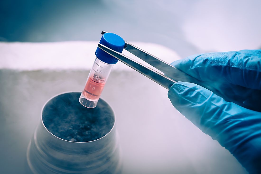Countries Where Stem Cell Research Is Most Popular