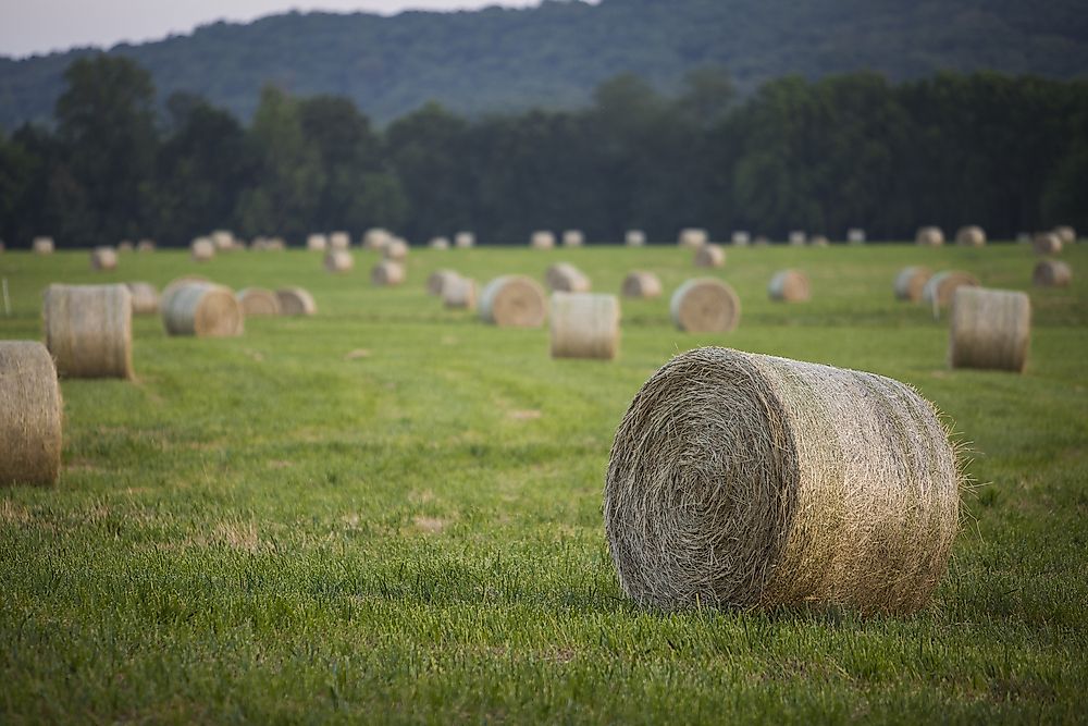 What Are The Biggest Industries In Arkansas?