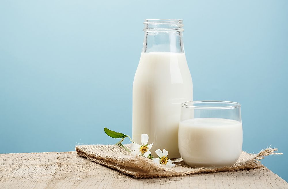Top Milk Producing Countries In The World