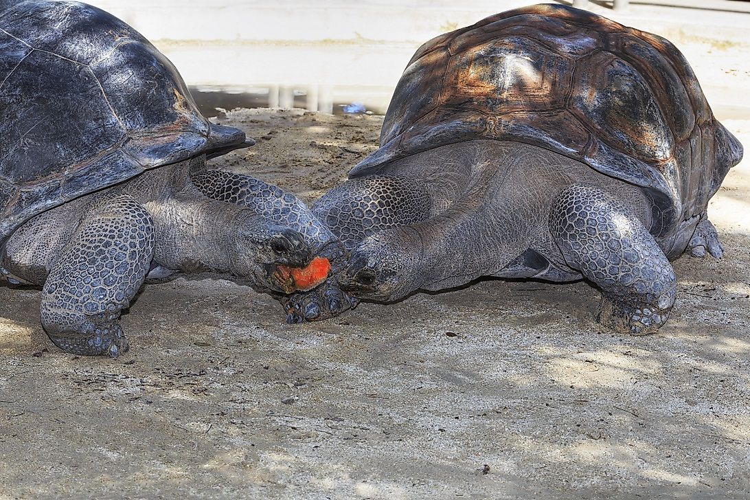 Galápagos Islands, Ecuador: Unique Places To Visit