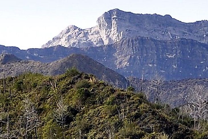 Where Does Puncak Trikora Rise?
