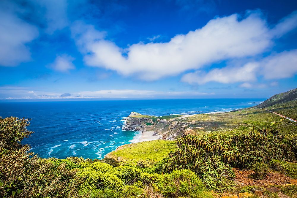 The "Marine Big Five" Of South Africa