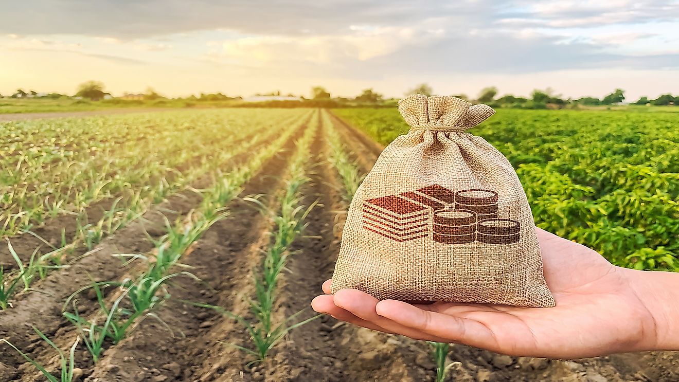 What Is Fair Trade?