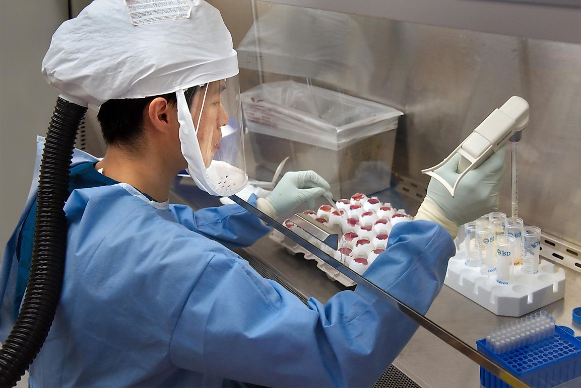 What Diseases Are Returning Because Of Anti-vaxxers?