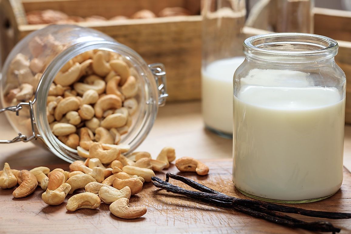 10 Dairy Milk Alternatives To Try
