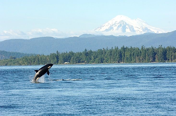 Puget Sound, United States
