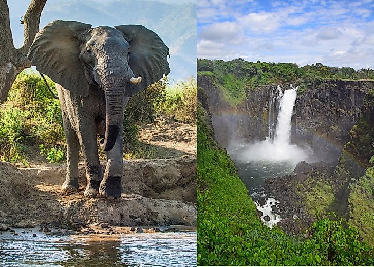 Ecological Regions Of Zimbabwe