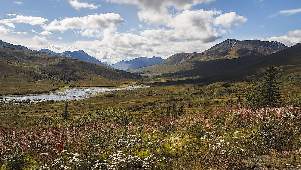 What is a Subarctic Climate?