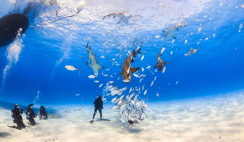 What Are The Biggest Industries In The Bahamas?