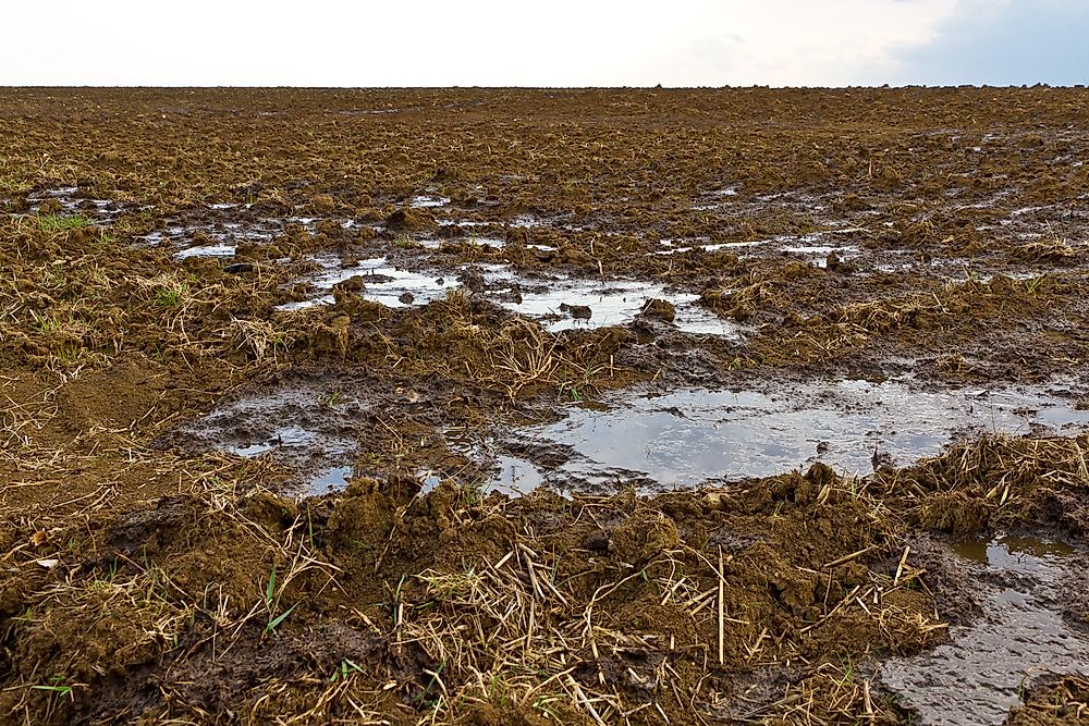 What Is Agricultural Pollution?