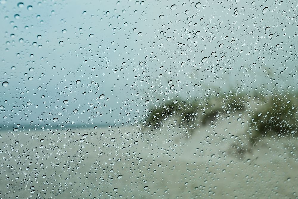 The 10 Rainiest Cities In The United States