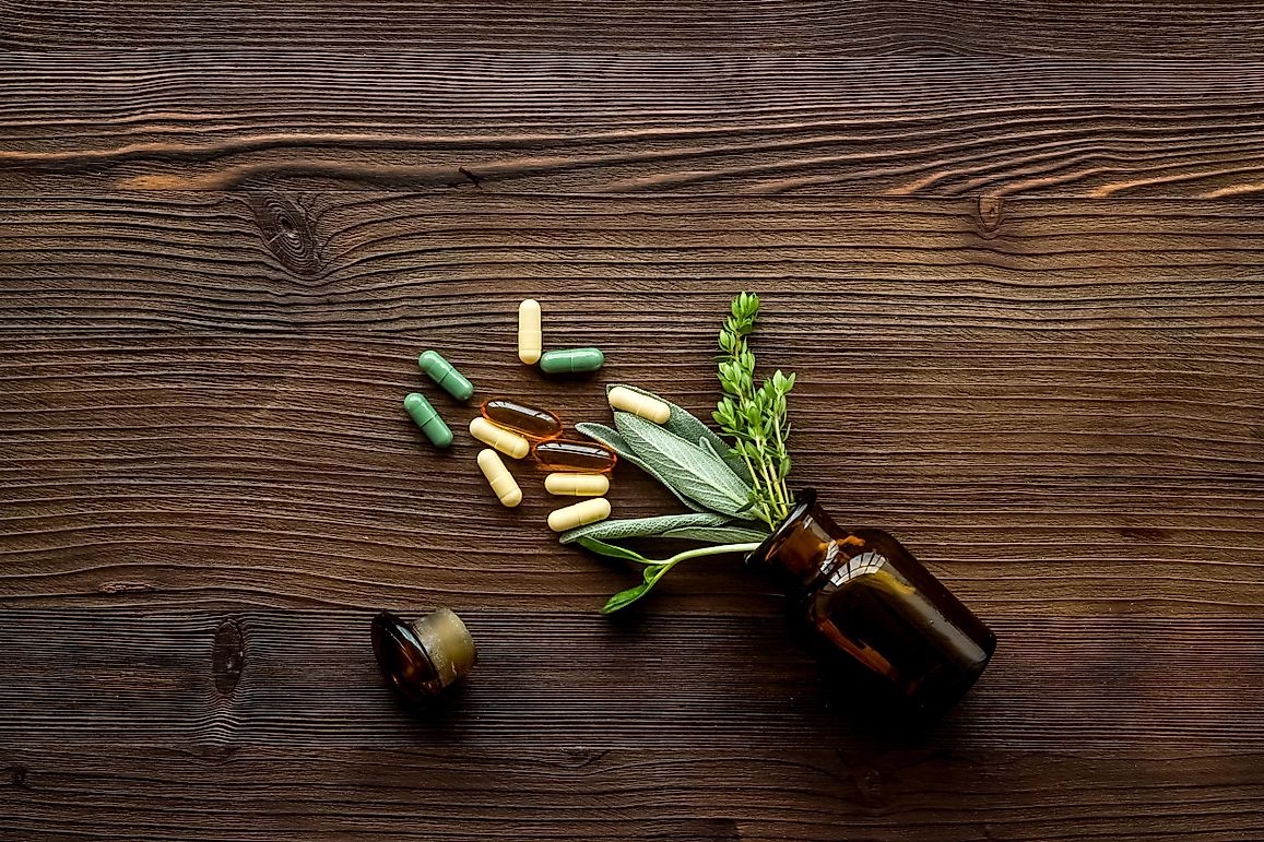 10 Medicinal Plants That Can Save Your Life