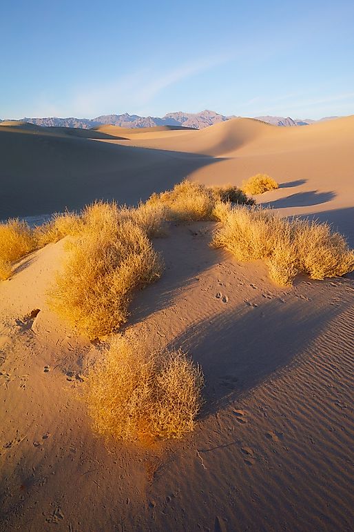 Where Does The Great Basin Desert Lie?