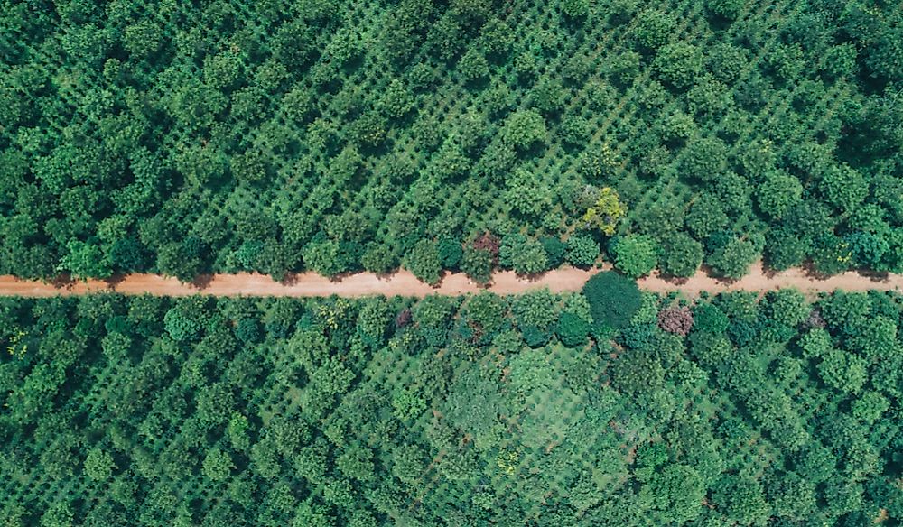 What Are The Major Natural Resources Of Laos?