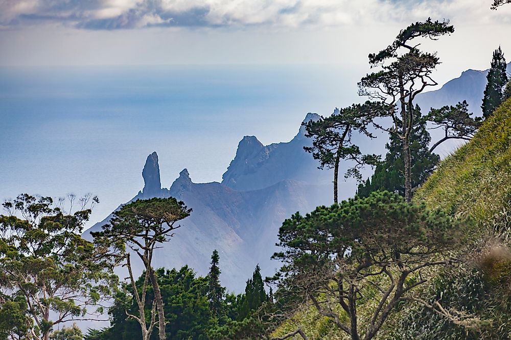 What Is The National Bird Of Saint Helena?