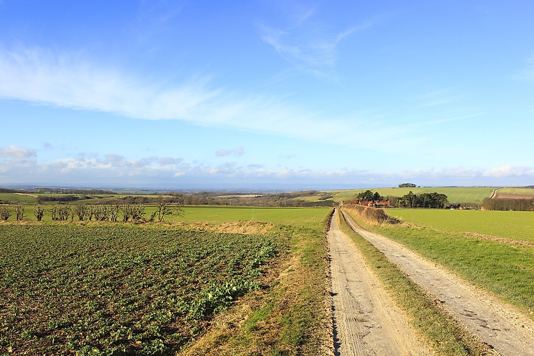 Brexit Leaves Farmers With Uncertain Future