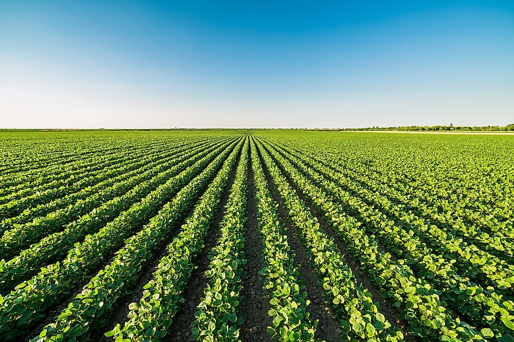 Countries Where Women Are Most Likely To Work On Farms