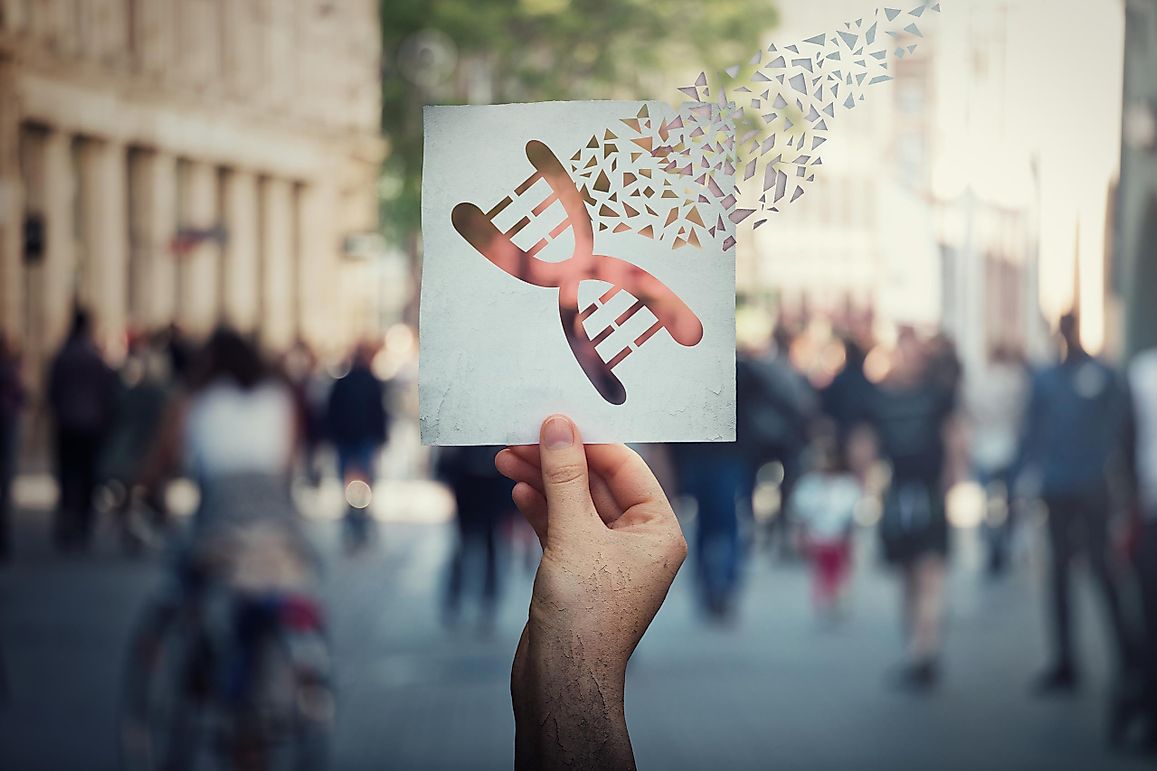 Gene Editing In Humans: Here Are The Most Interesting Facts