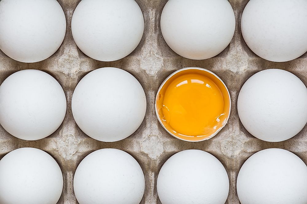 Countries That Consume the Most Eggs