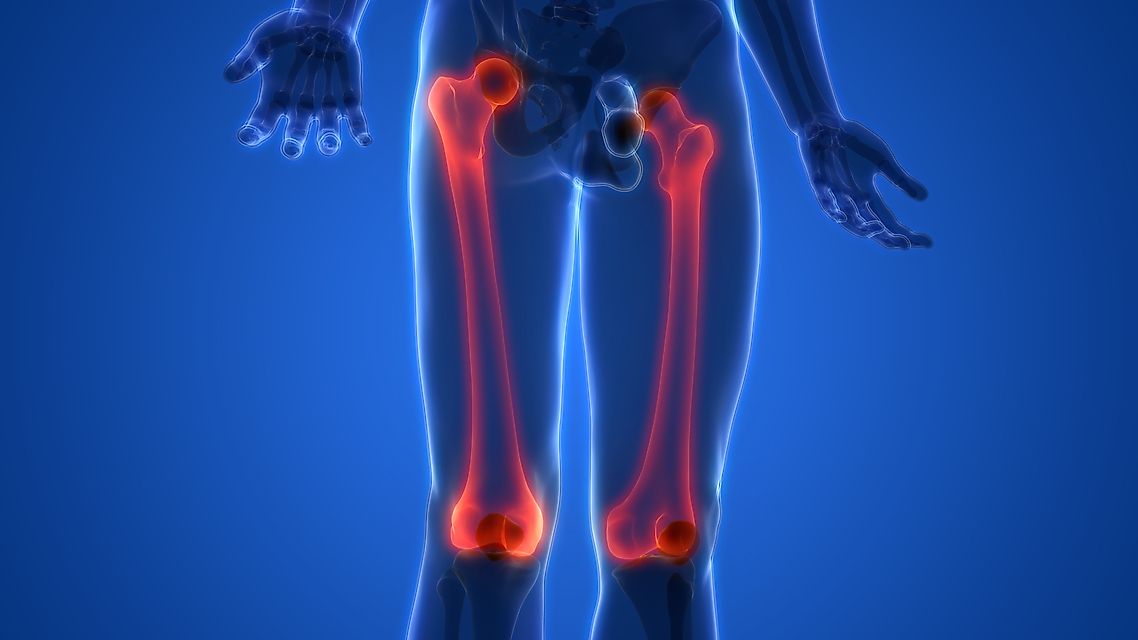 What Is the Largest Bone in the Body?
