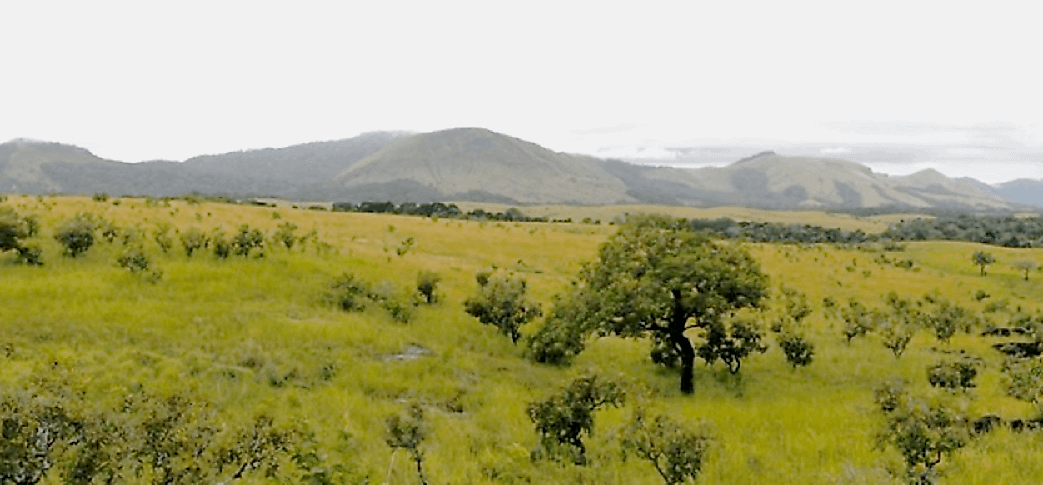 Lopé-Okanda Natural And Archaelogical Sites Of Gabon