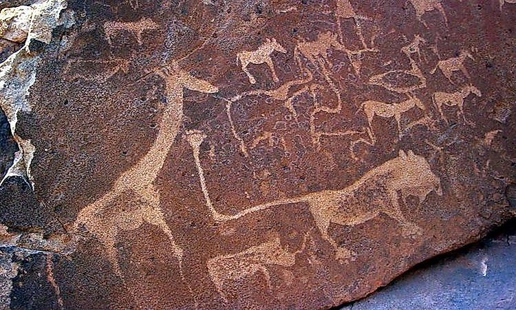 Twyfelfontein Rock Engravings Of Namibia