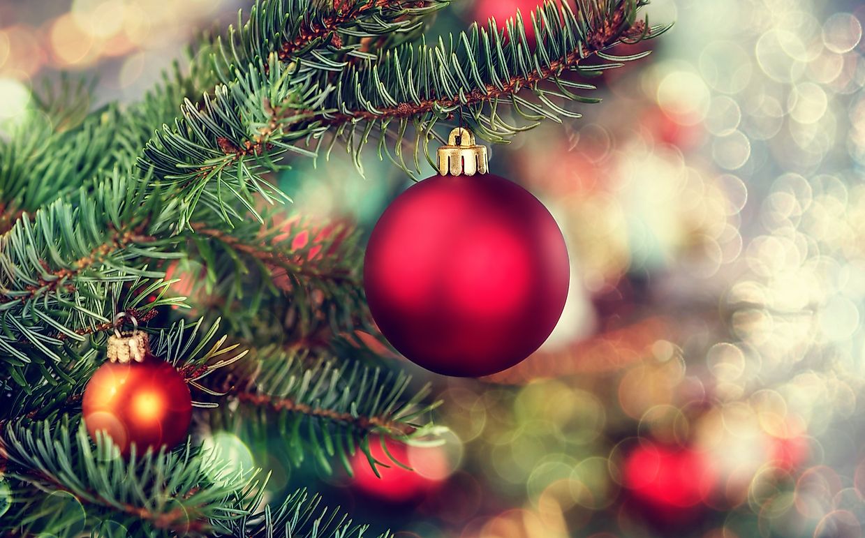 Artificial vs. Authentic: Which Christmas Tree Is Better For the Earth?