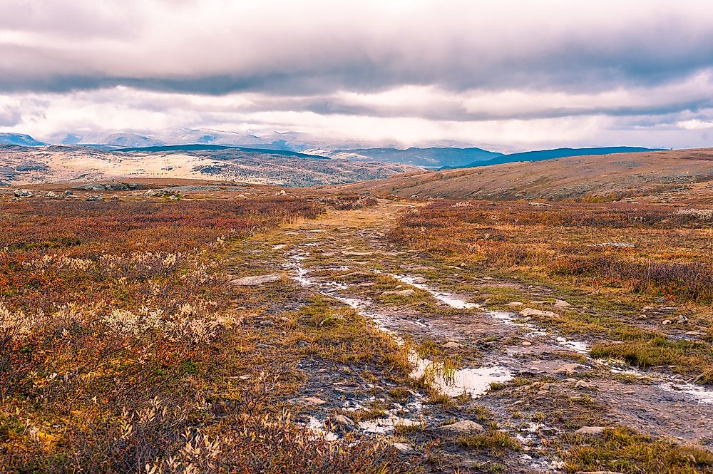 What Is A Moorland?