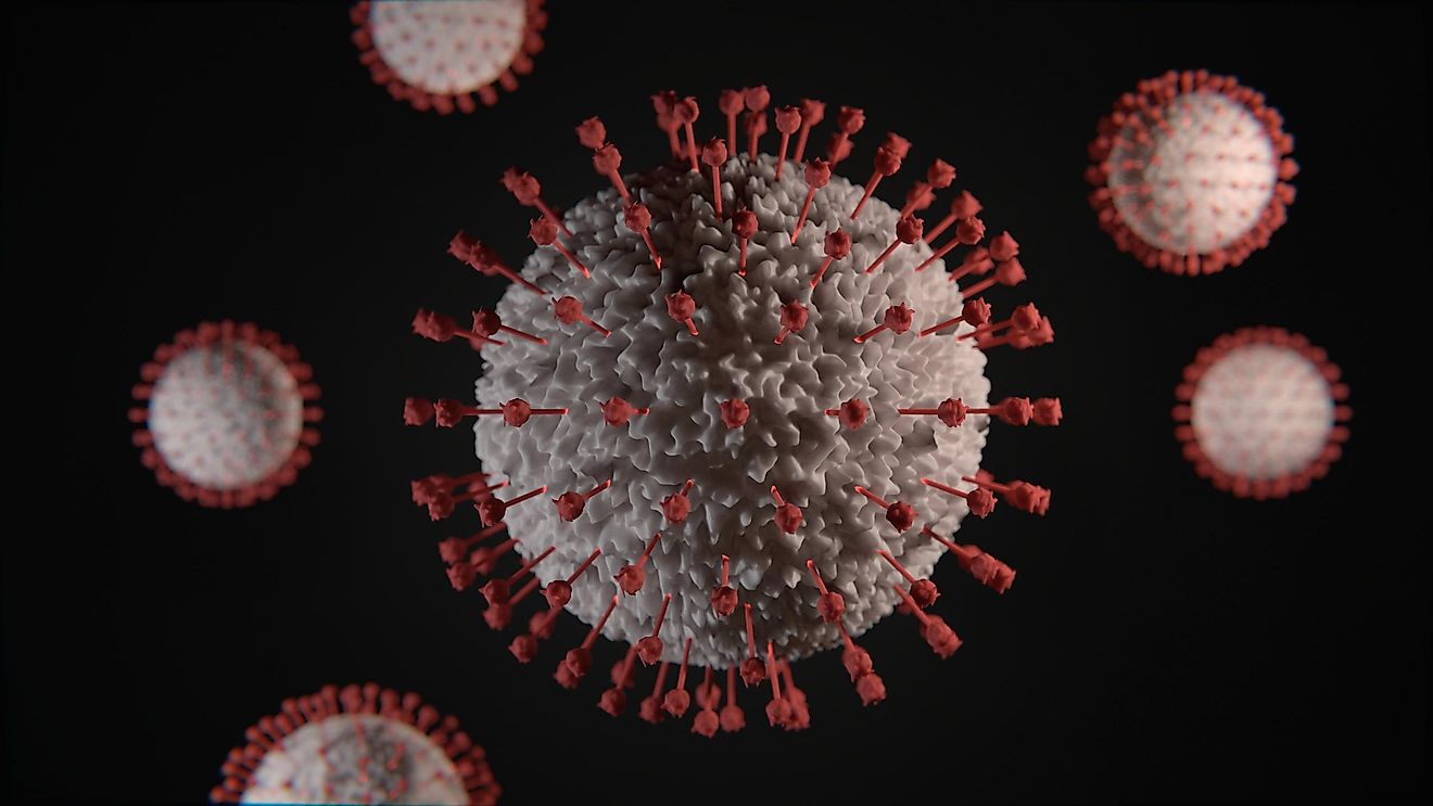 Which Age Groups Are Most Affected By Covid-19?