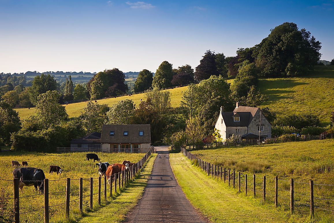 The Top 20 Agricultural Products Of The United Kingdom