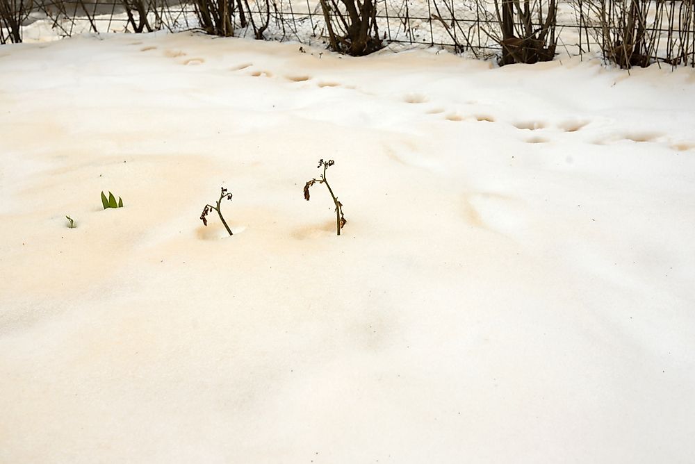 What Causes Eastern Europe's Orange Snow?