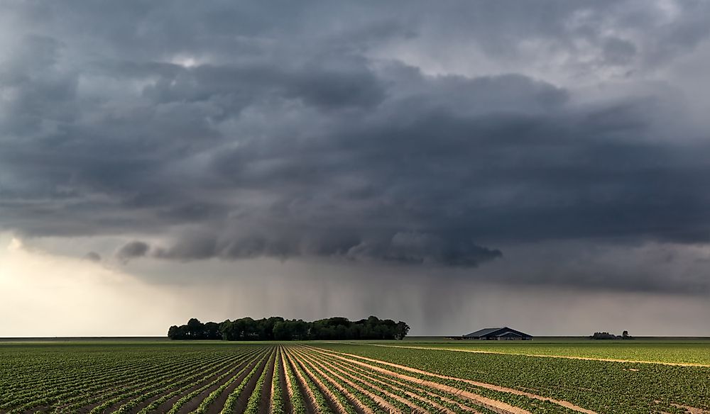 What Kind Of Climate Does The Netherlands Have?
