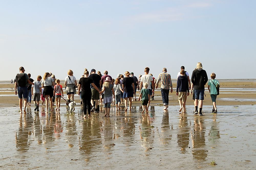 What Is Mudflat Hiking?