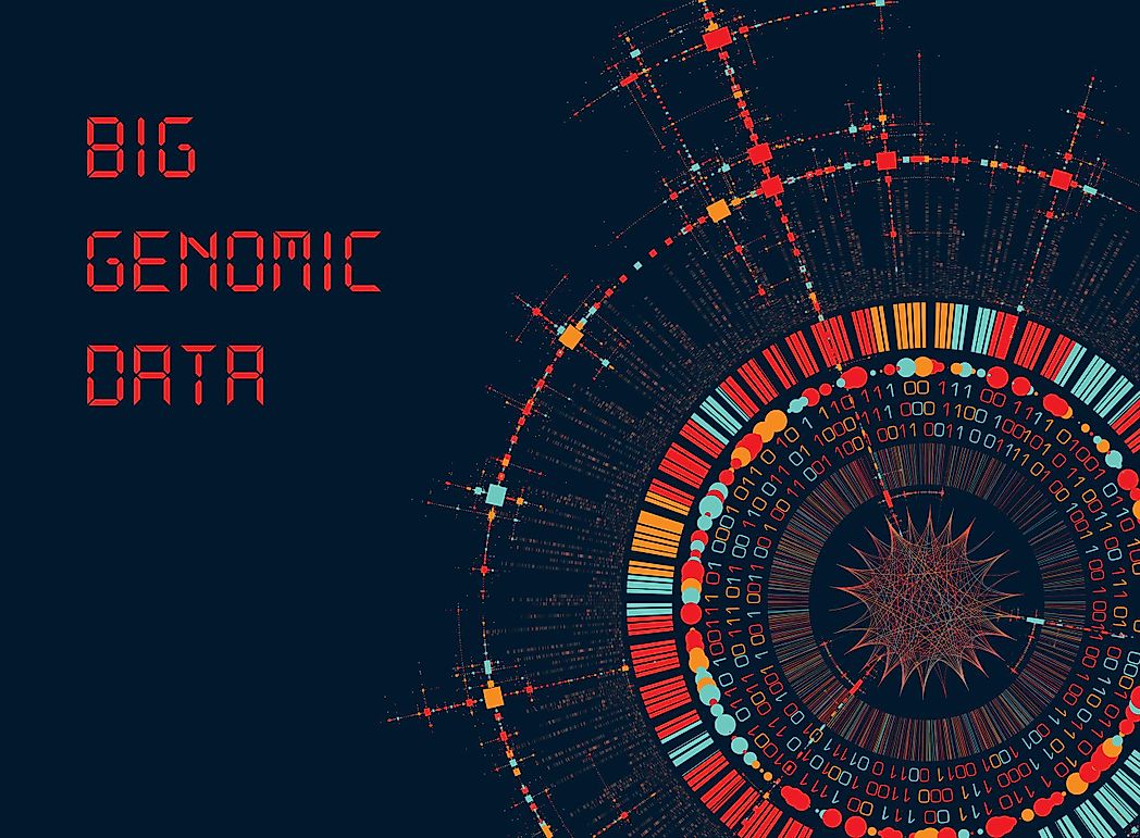 What Is The Purpose Of Genomics?