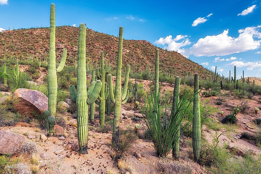 The Sunniest Cities In The World