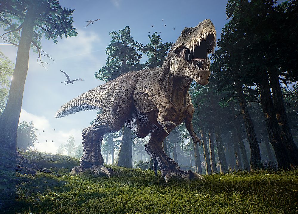Tyrannosaurus Rex Facts: Extinct Animals of the World