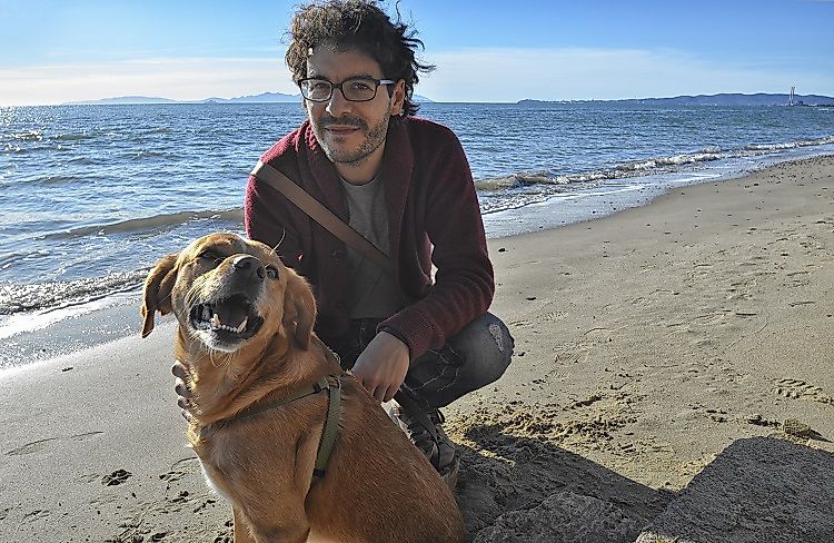 Countries With The Most Dogs Worldwide