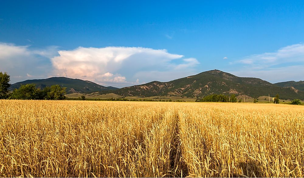 What Are The Biggest Industries In Kazakhstan?