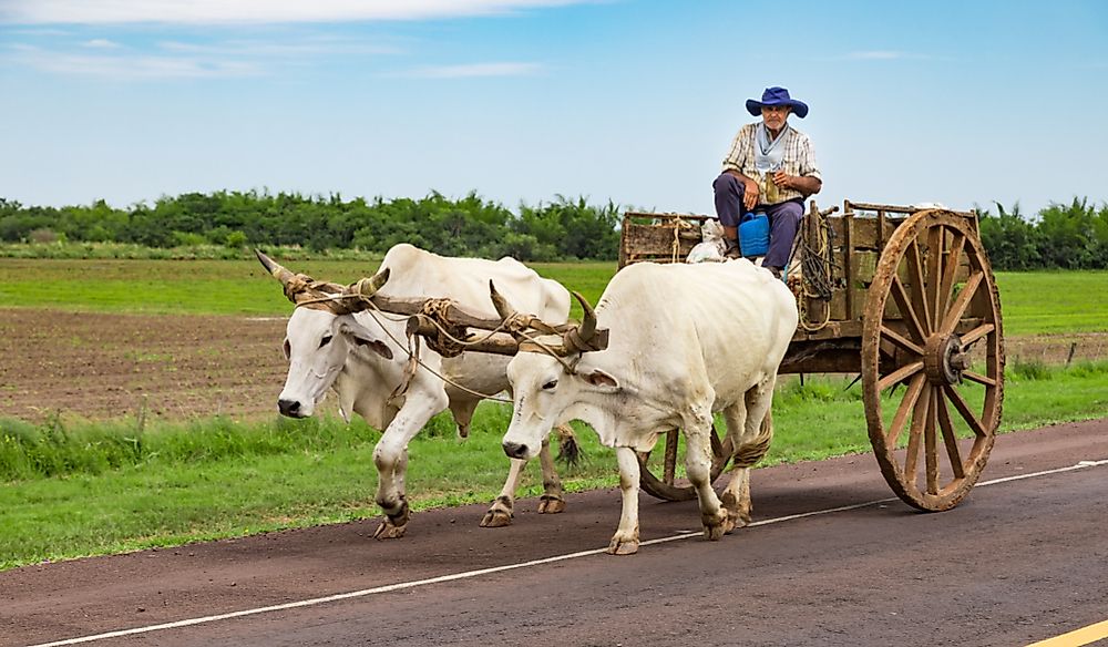 The Culture Of Paraguay - WorldAtlas.com