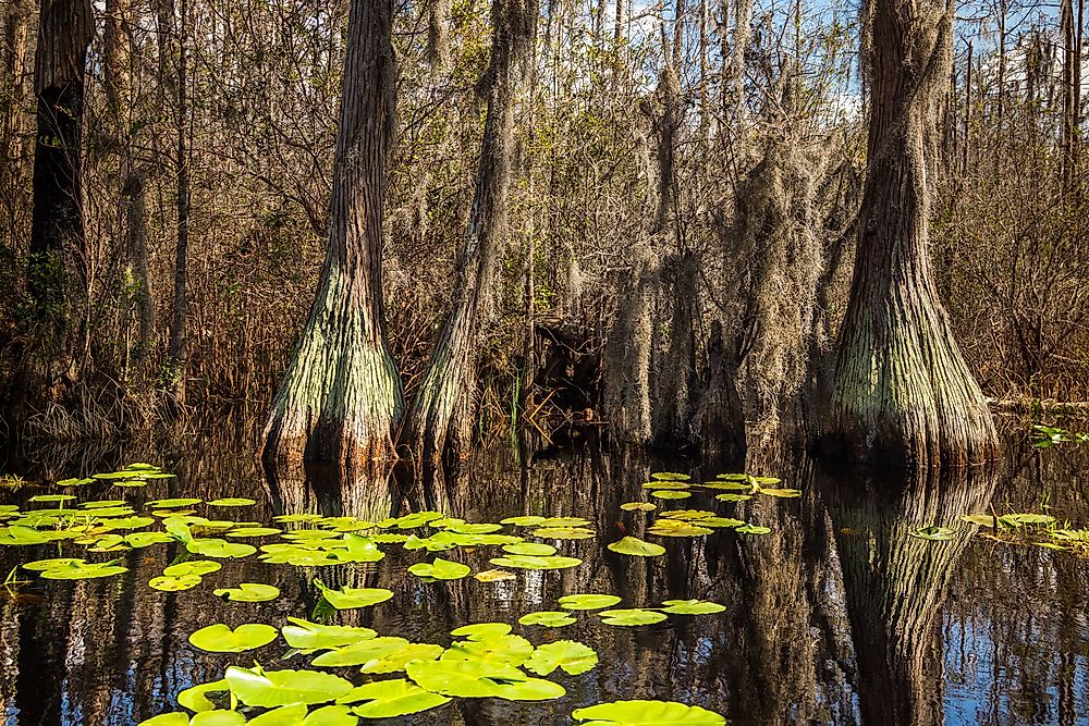The 11 National Natural Landmarks of Georgia