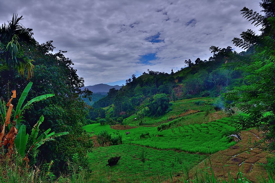 Tallest Mountains In Sri Lanka