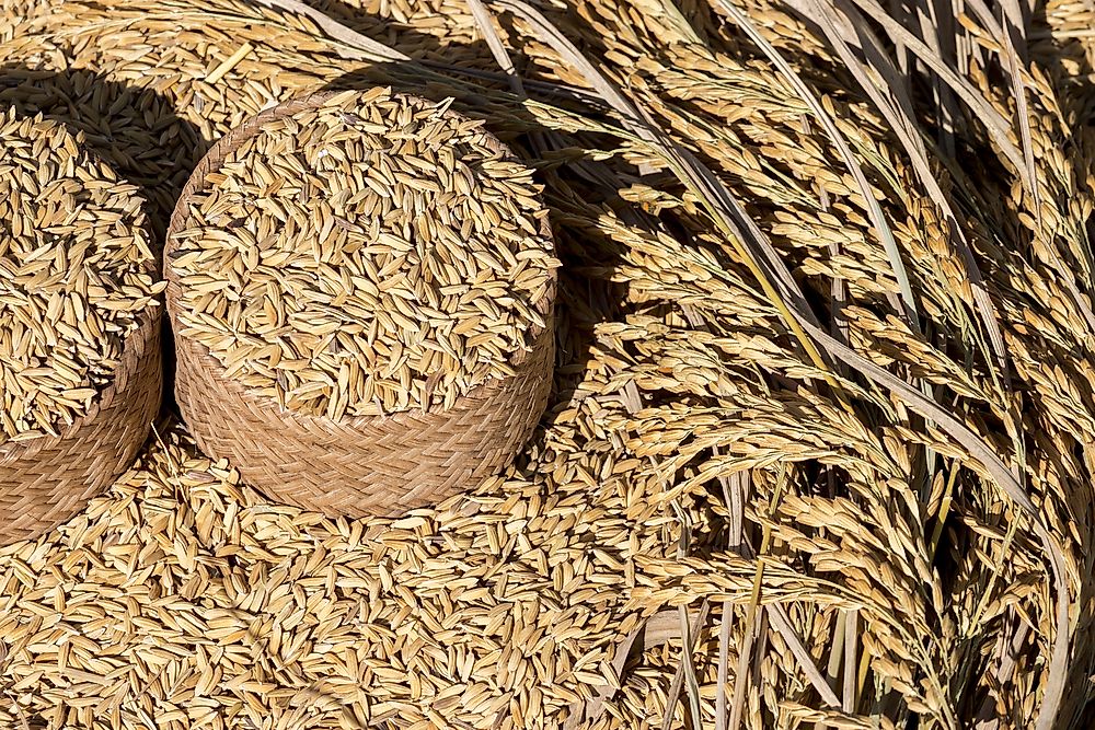 The World's Best Countries For Food Security