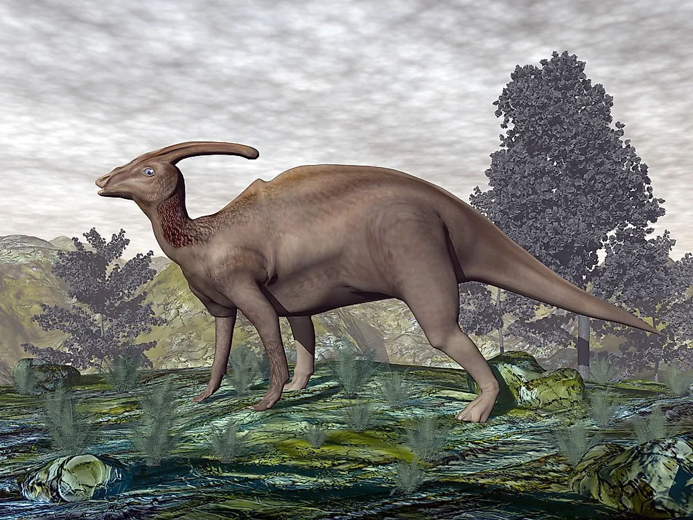 parasaurolophus head