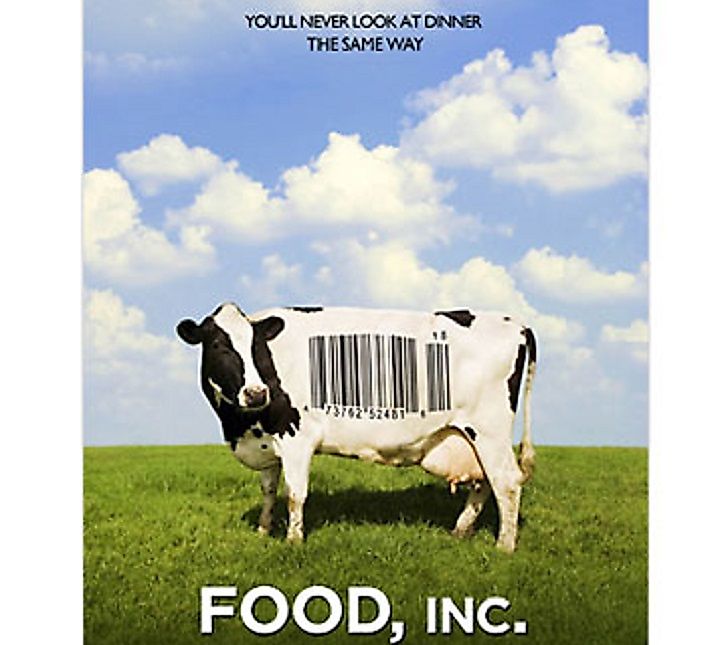 Best Environmental Movies And Documentaries Ever Made