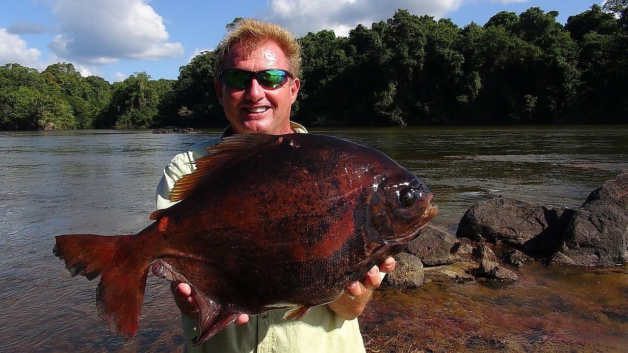 There's A Fish With Human Teeth: 5 Facts About The Pacu