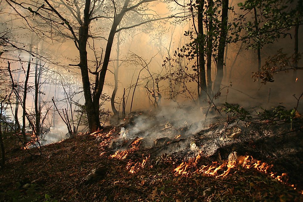 What Are The Differences Between A Ground Fire And A Surface Fire?