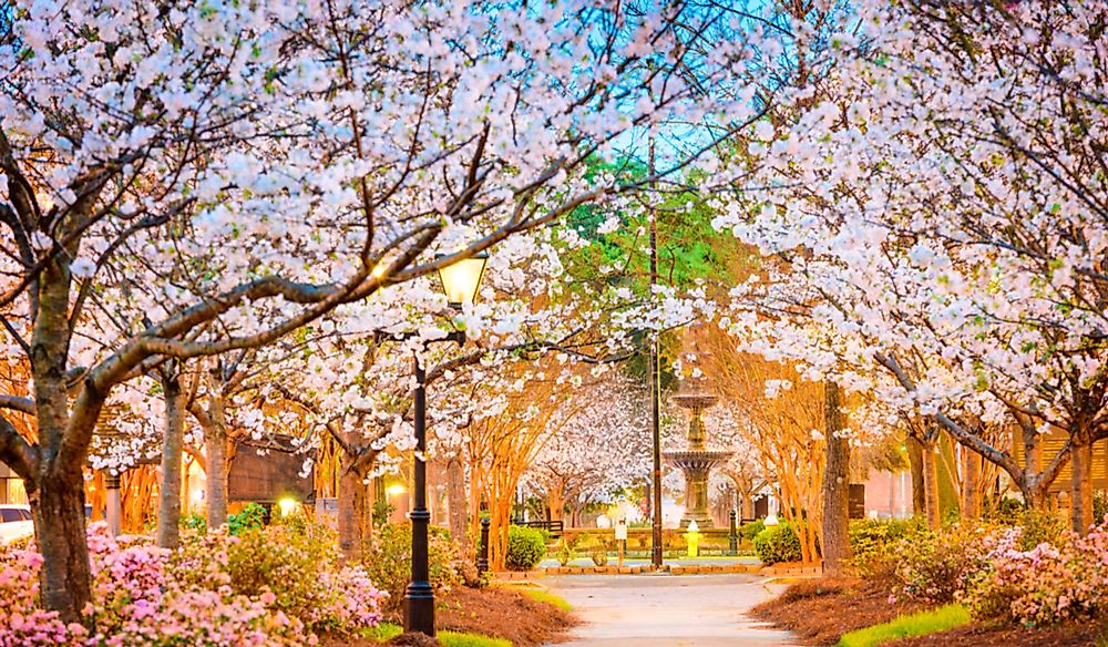 The Best Floral Festivals Of America